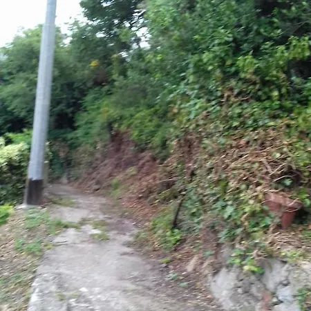 Séjour à la campagne Casa Graziella Vallebona